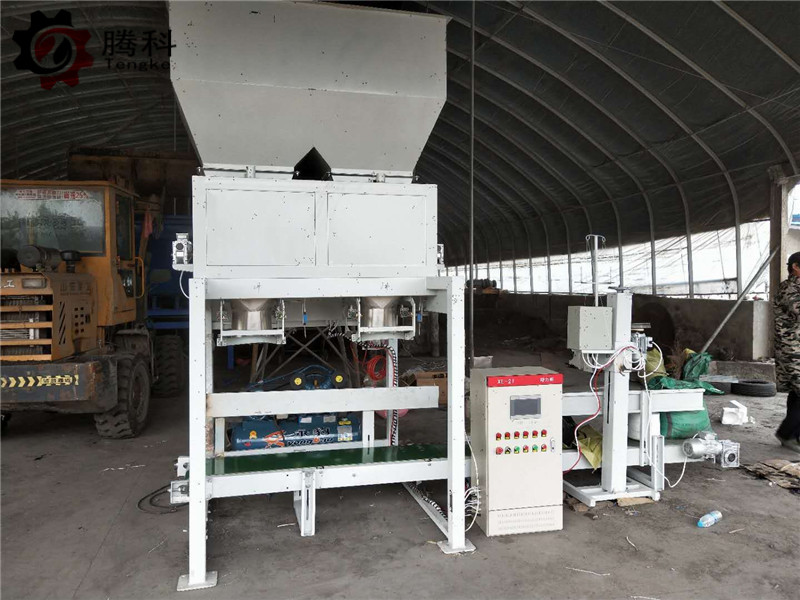 25kg双斗粉状定量包装机